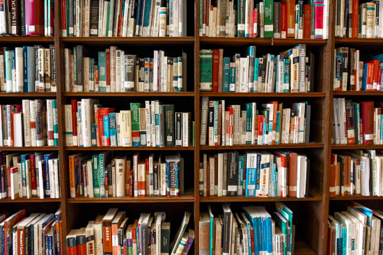 PhD Programmes